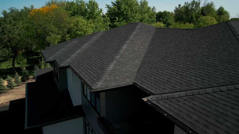 Best Roof Maintenance and Cleaning  in La Vista, NE