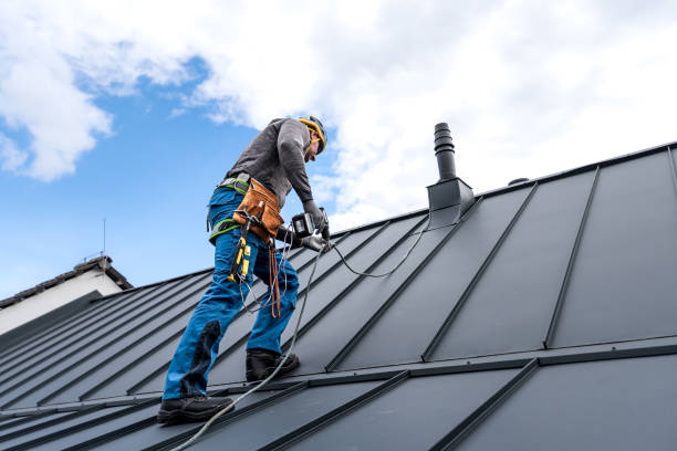 Best Green or Eco-Friendly Roofing Solutions  in La Vista, NE